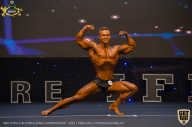 IFBB Чемпионат мира по бодибилдингу - 2019