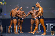 IFBB Чемпионат мира по бодибилдингу - 2019