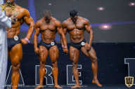 IFBB Чемпионат мира по бодибилдингу - 2019