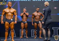 IFBB Чемпионат мира по бодибилдингу - 2019