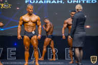IFBB Чемпионат мира по бодибилдингу - 2019