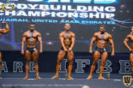 IFBB Чемпионат мира по бодибилдингу - 2019