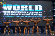 IFBB Чемпионат мира по бодибилдингу - 2019