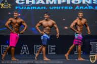IFBB Чемпионат мира по бодибилдингу - 2019