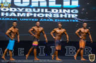 IFBB Чемпионат мира по бодибилдингу - 2019