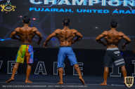 IFBB Чемпионат мира по бодибилдингу - 2019