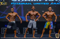 IFBB Чемпионат мира по бодибилдингу - 2019