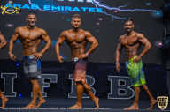 IFBB Чемпионат мира по бодибилдингу - 2019