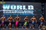 IFBB Чемпионат мира по бодибилдингу - 2019