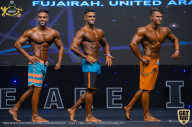 IFBB Чемпионат мира по бодибилдингу - 2019