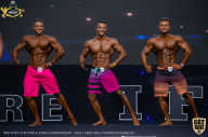 IFBB Чемпионат мира по бодибилдингу - 2019