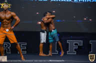 IFBB Чемпионат мира по бодибилдингу - 2019