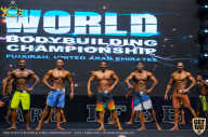 IFBB Чемпионат мира по бодибилдингу - 2019