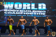 IFBB Чемпионат мира по бодибилдингу - 2019