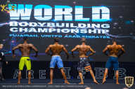 IFBB Чемпионат мира по бодибилдингу - 2019