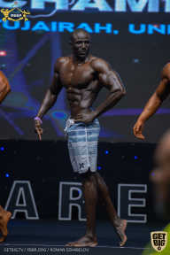 IFBB Чемпионат мира по бодибилдингу - 2019
