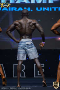 IFBB Чемпионат мира по бодибилдингу - 2019