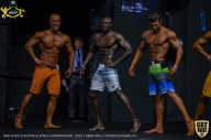 IFBB Чемпионат мира по бодибилдингу - 2019