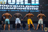 IFBB Чемпионат мира по бодибилдингу - 2019