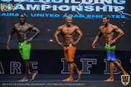 IFBB Чемпионат мира по бодибилдингу - 2019