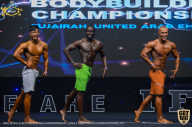 IFBB Чемпионат мира по бодибилдингу - 2019