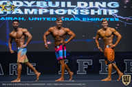 IFBB Чемпионат мира по бодибилдингу - 2019