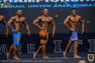 IFBB Чемпионат мира по бодибилдингу - 2019