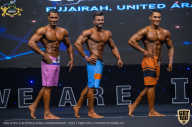IFBB Чемпионат мира по бодибилдингу - 2019