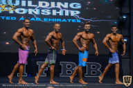 IFBB Чемпионат мира по бодибилдингу - 2019