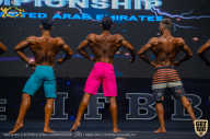 IFBB Чемпионат мира по бодибилдингу - 2019