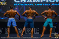 IFBB Чемпионат мира по бодибилдингу - 2019