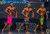IFBB Чемпионат мира по бодибилдингу - 2019