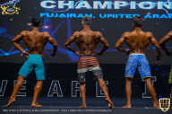 IFBB Чемпионат мира по бодибилдингу - 2019
