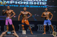 IFBB Чемпионат мира по бодибилдингу - 2019