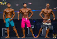 IFBB Чемпионат мира по бодибилдингу - 2019