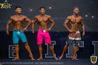 IFBB Чемпионат мира по бодибилдингу - 2019