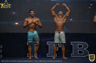 IFBB Чемпионат мира по бодибилдингу - 2019