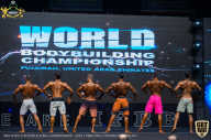 IFBB Чемпионат мира по бодибилдингу - 2019