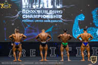 IFBB Чемпионат мира по бодибилдингу - 2019
