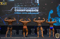 IFBB Чемпионат мира по бодибилдингу - 2019