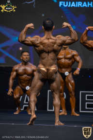IFBB Чемпионат мира по бодибилдингу - 2019