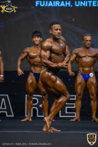 IFBB Чемпионат мира по бодибилдингу - 2019