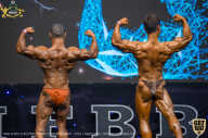 IFBB Чемпионат мира по бодибилдингу - 2019