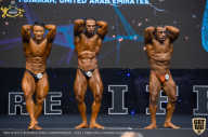 IFBB Чемпионат мира по бодибилдингу - 2019