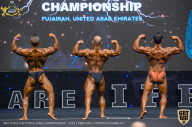 IFBB Чемпионат мира по бодибилдингу - 2019