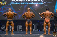 IFBB Чемпионат мира по бодибилдингу - 2019
