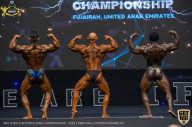 IFBB Чемпионат мира по бодибилдингу - 2019