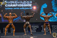 IFBB Чемпионат мира по бодибилдингу - 2019