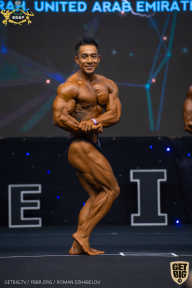 IFBB Чемпионат мира по бодибилдингу - 2019