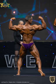 IFBB Чемпионат мира по бодибилдингу - 2019